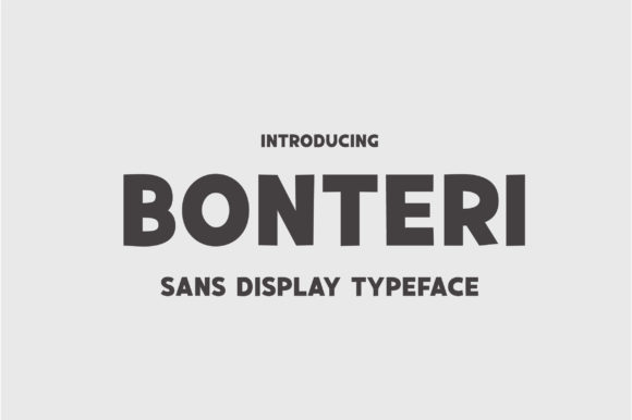 Discover Bonteri: A Bold and Chunky Display Font