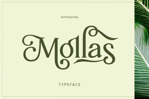Discover Mollas: A Vintage Font for Craft and Design