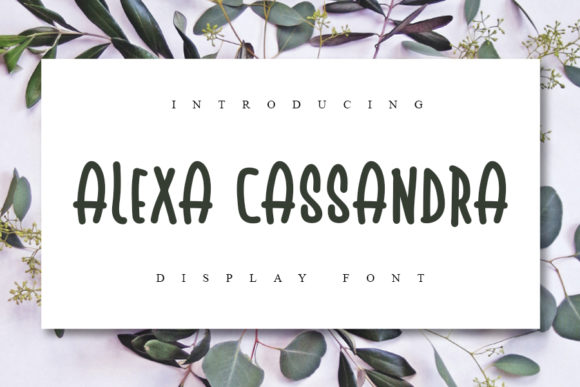 Discover the Versatile Alexa Cassandra Font