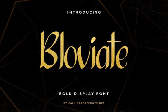 Enhance Your Brand with Bloviate: A Bold and Simple Display Font