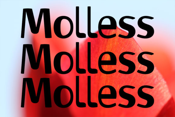 Maximize Impact with Molless: A Strong Display Font