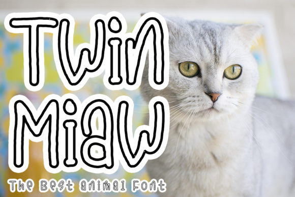 Twin Miaw: A Quirky and Fun Display Font for Web Design
